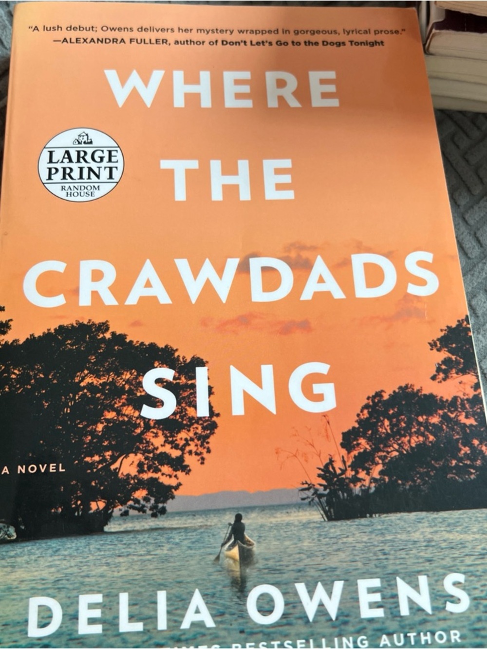 Where The Crawdads Sing by Delia Owens (2018, Paperback ) Large Print Edition